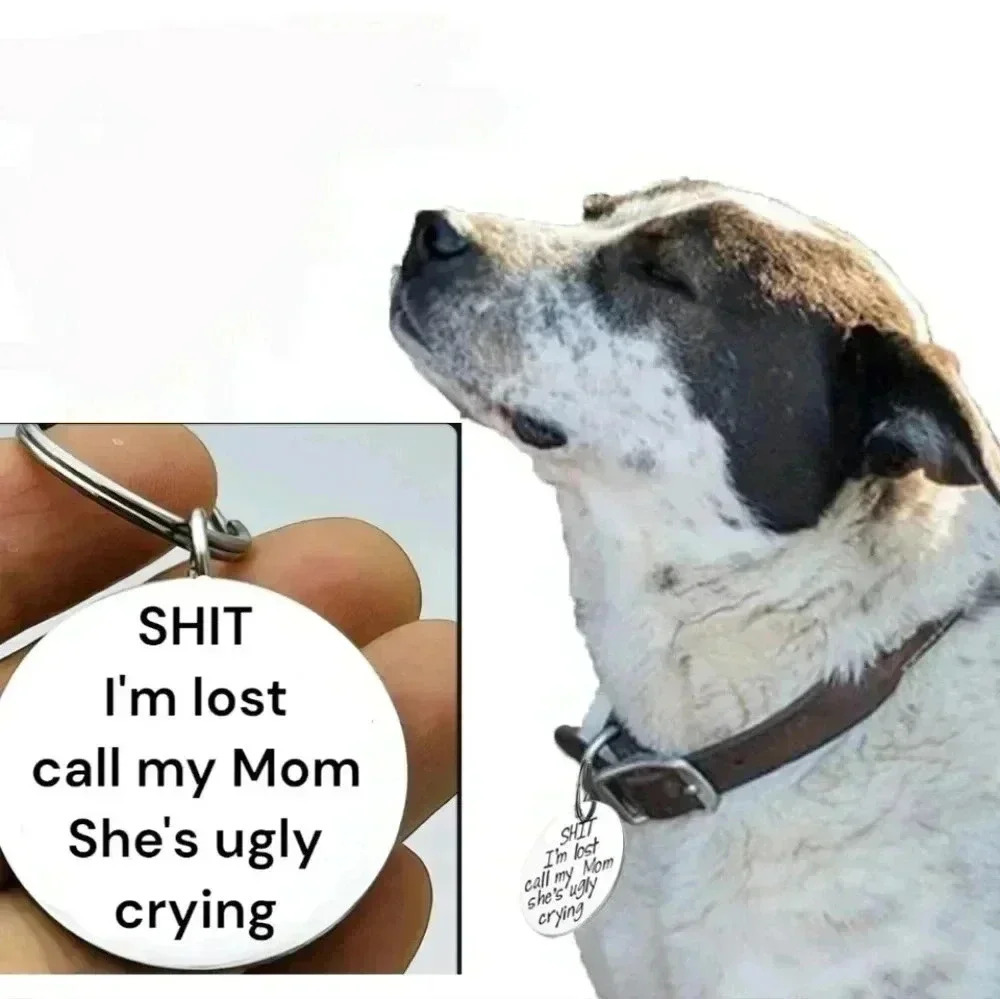 My paw baby got lost found hot reminder Keychain